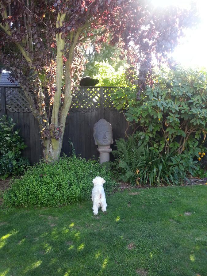 Berni'S Boutique Bnb Christchurch Dış mekan fotoğraf